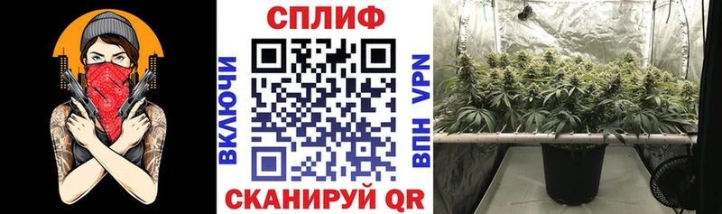 Продажа наркотиков Бородино Кодеин  APVP  Конопля  ГАШИШ  COCAIN  АМФЕТАМИН 