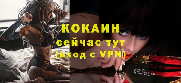 ALPHA PVP Богданович