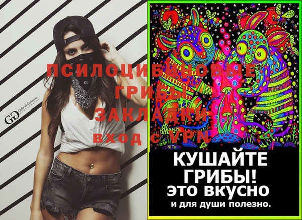 шишки Богородицк