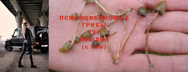 винт Бронницы