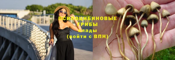 ГАЛЛЮЦИНОГЕННЫЕ ГРИБЫ Белокуриха