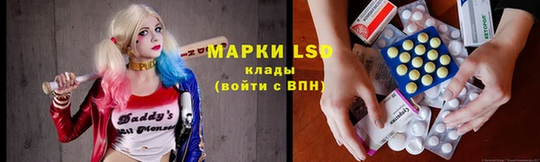 гидропоника Бугульма