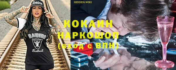 шишки Богородицк