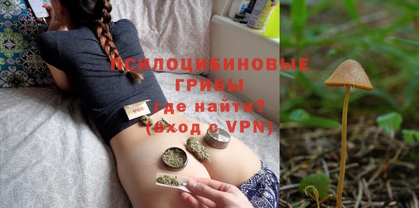 гидропоника Бугульма