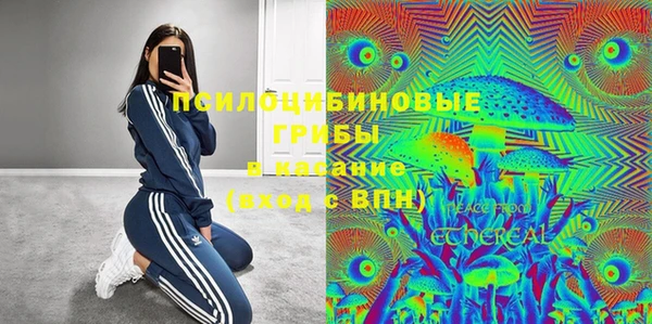 спайс Бородино