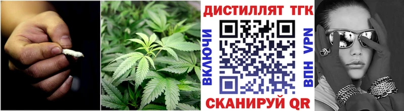 кракен   Бородино  ТГК Wax 