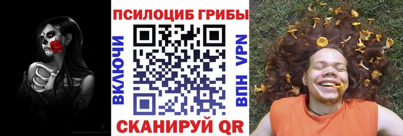 OMG   Бородино  Псилоцибиновые грибы мухоморы 