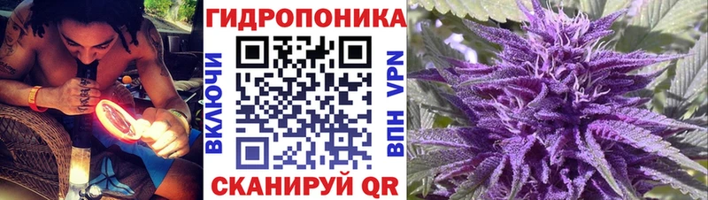 mega рабочий сайт Бородино МАРИХУАНА ГИДРОПОН